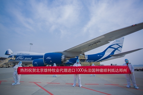 5fd2deace7c84.jpg 1_副本_副本.jpg