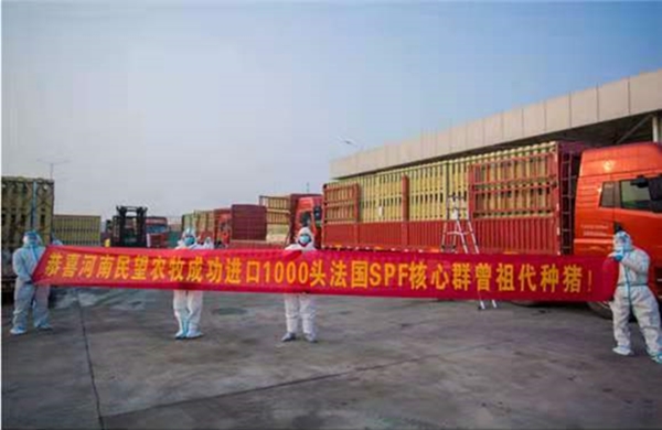 5fd2df02cae26.jpg 3_副本.jpg